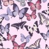 IMG 20241015 WA0037