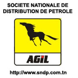 sndp agil